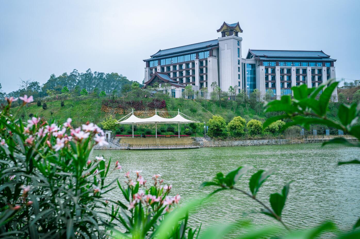 QQ截图20201116172904.jpg QQ截图20201116172904.jpg
